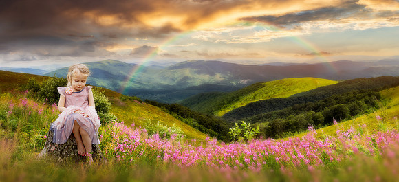 wild flowers on the mountain top