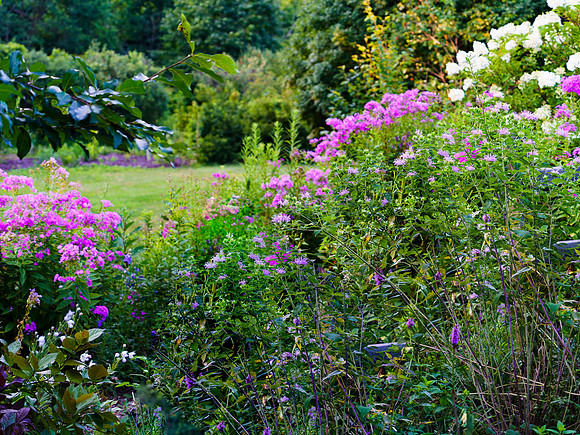 rvsd_DSC8200 copy