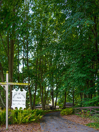 rvsd_DSC8387 copy