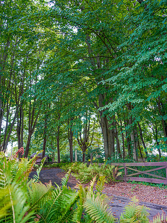 rvsd_DSC8395 copy