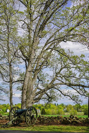 media_26