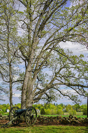 rvsd_DSC1811 copy