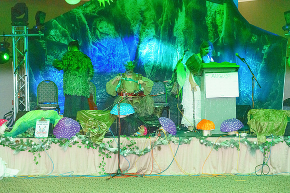 RVSD_313