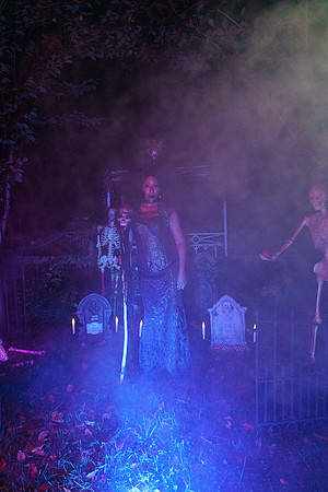 RVSD_115