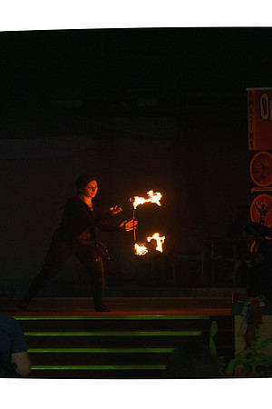 RVSD_304